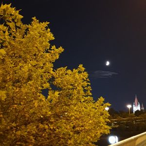 Mond über der Kirche am Mexikoplatz.