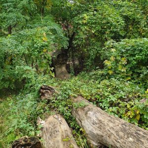 Prater, Blick ins Grüne