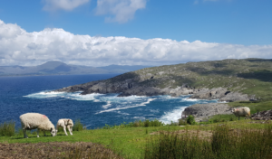 Dankbarkeit für diesen Irland-Wanderurlaub, nur für mich allein.