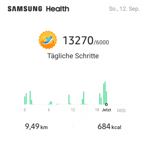 Zusammenfassung Schritte